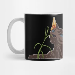 Sphynx cat sniffing around Mug